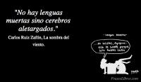 La sombra del viento, Carlos Ruiz Zafn