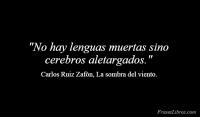 La sombra del viento, Carlos Ruiz Zafn