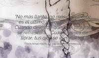 La paz est en tu interior, Thich Nhat Hanh
