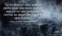 Vieja moralidad, Carlos Fuentes