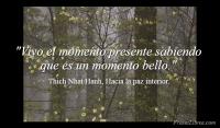 Hacia la paz interior, Thich Nhat Hanh